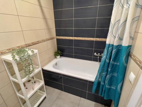 1371olivera_baho2_23