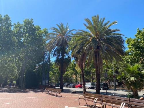 1554alfons_magnanim_5