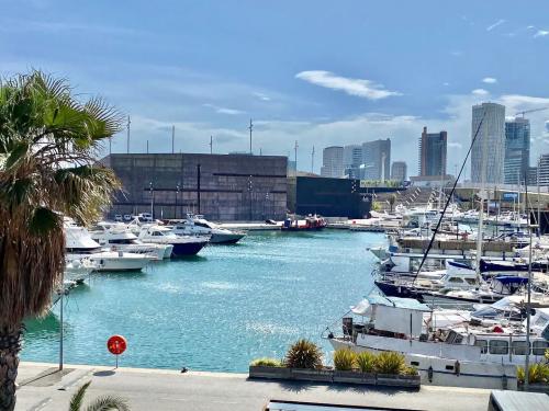 1649alfons_magnanim_8