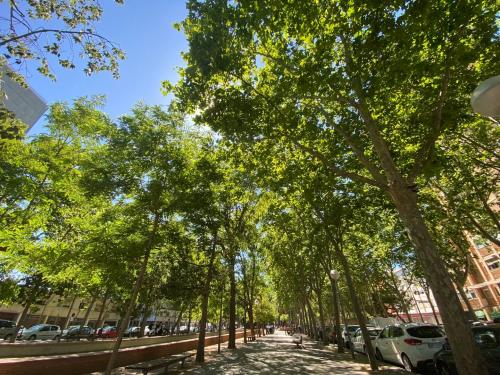 390alfons_magnanim_4