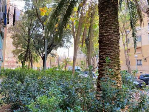 fernandodelosrios_38