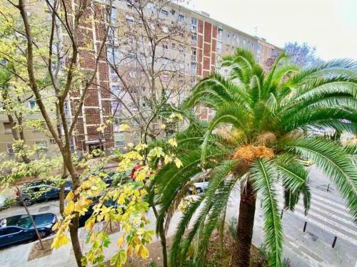 fernandodelosrios_43