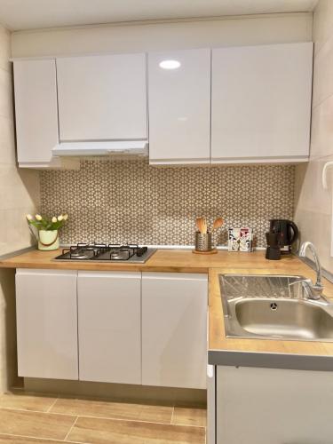 maria_benlliure_1floor_1